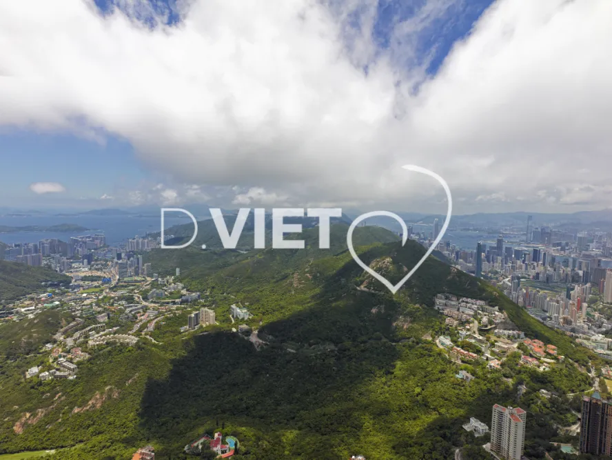 Photo Dominique VIET - VIET_007210