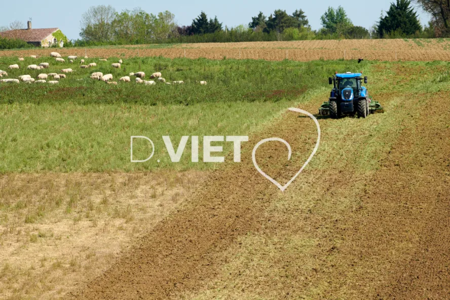 Photo Dominique VIET - Déchaumage préparation pour semis