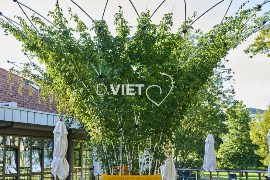 Photo Dominique VIET - CANOPEE