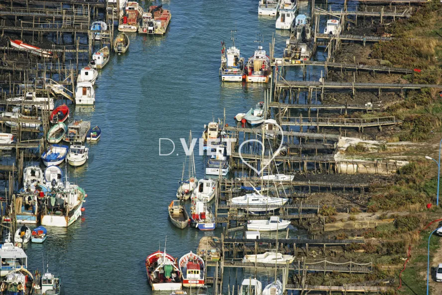 Photo Dominique VIET - port du bec