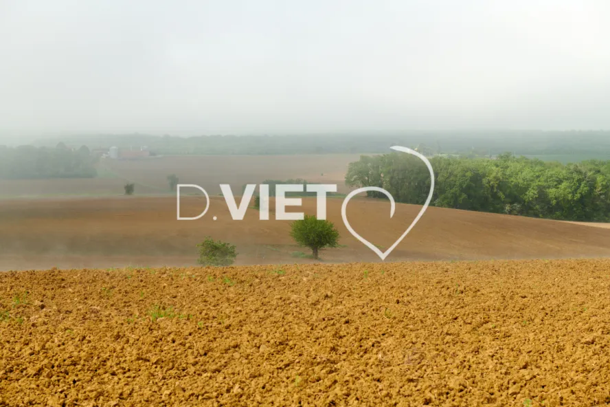 Photo Dominique VIET - Terres semées et fumeroles
