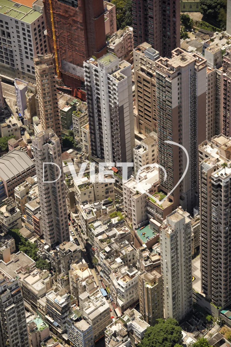 Photo Dominique VIET - VIET_007314