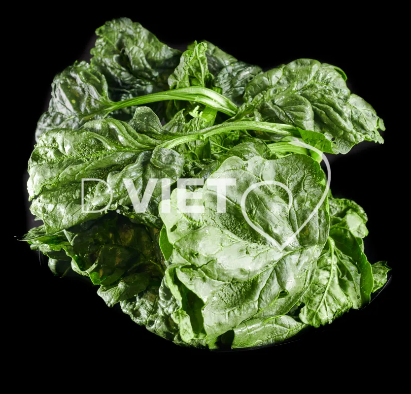 Photo Dominique VIET - Epinards