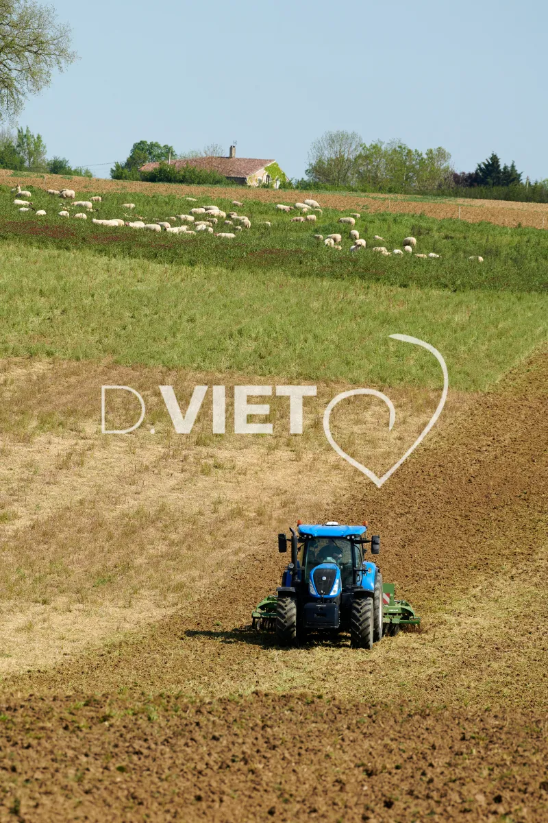 Photo Dominique VIET - Déchaumage préparation pour semis