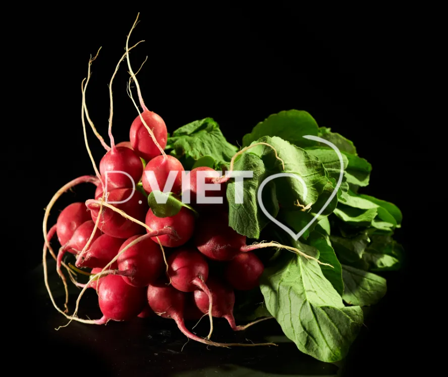 Photo Dominique VIET - Radis