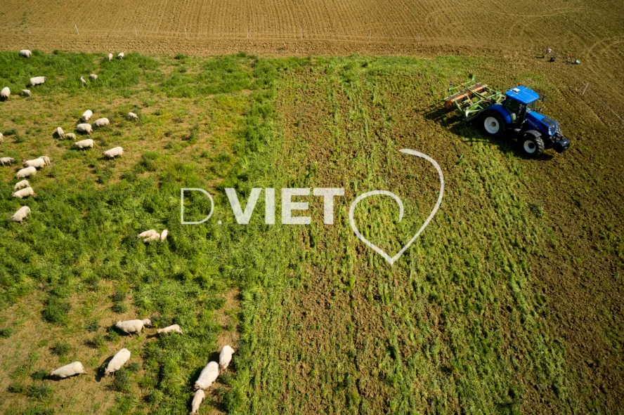 Photo Dominique VIET - Déchaumage préparation pour semis