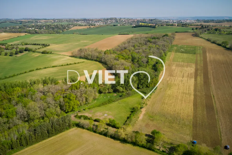 Photo Dominique VIET - Déchaumage préparation pour semis