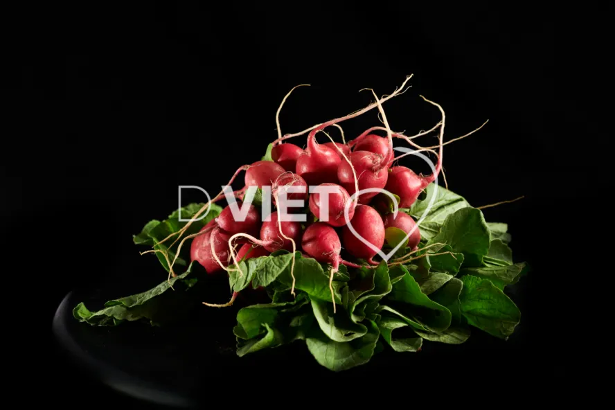 Photo Dominique VIET - Radis