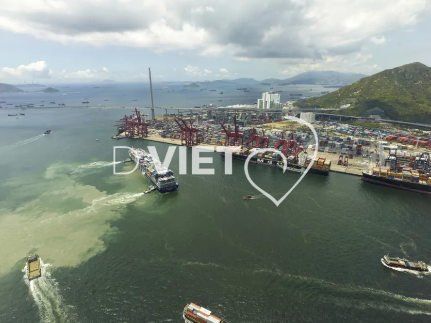 Photo Dominique VIET - VIET_006990