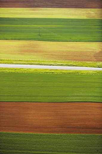 Photo Dominique VIET - plaine terre et couleurs