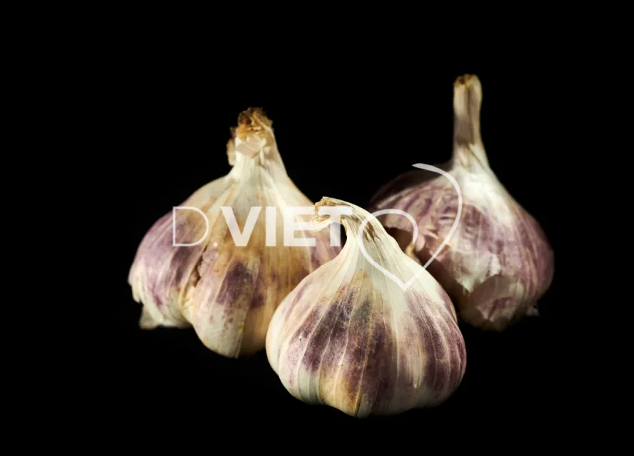 Photo Dominique VIET - Ail