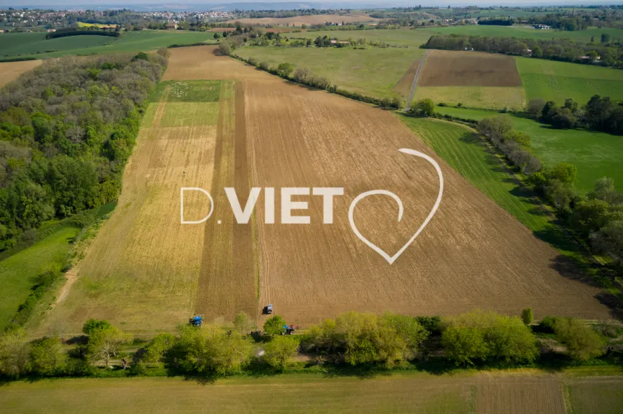 Photo Dominique VIET - Déchaumage préparation pour semis