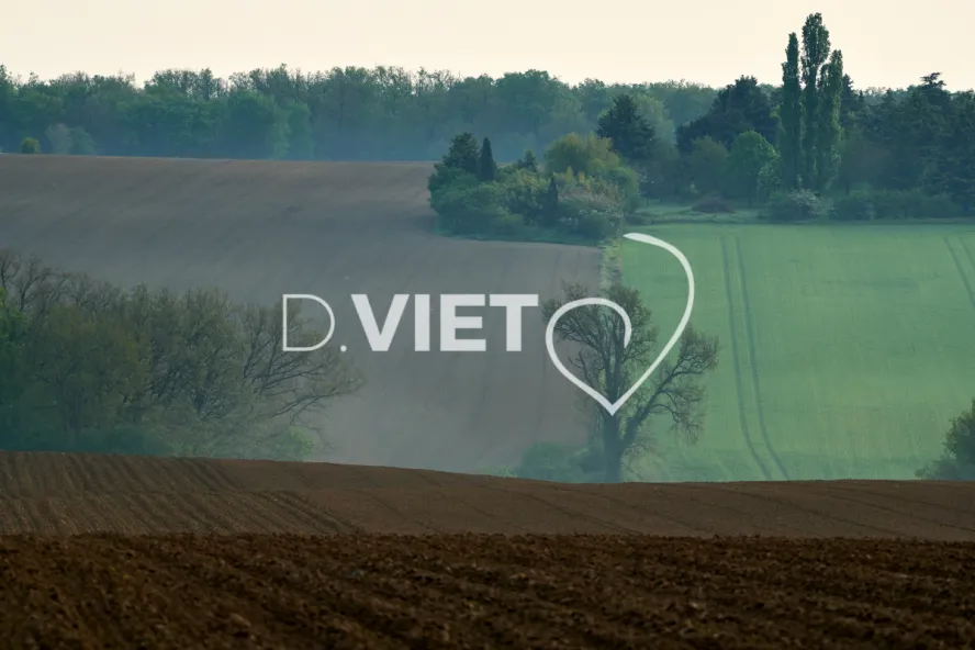 Photo Dominique VIET - Terres semées