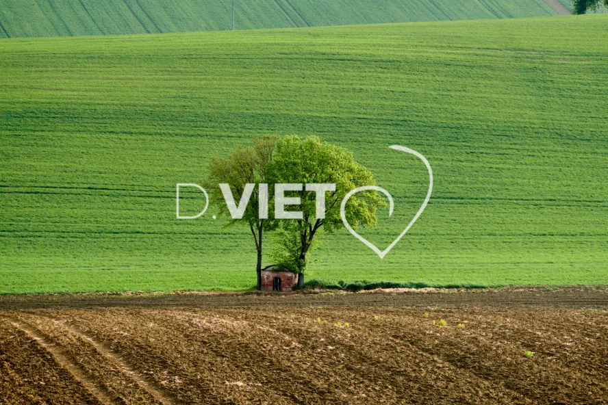 Photo Dominique VIET - paysages du lauragais
