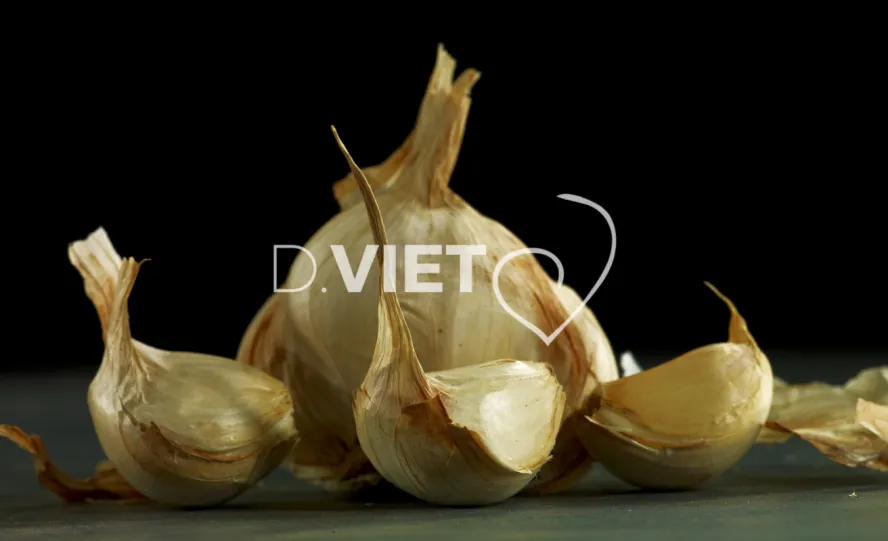 Photo Dominique VIET - VIET_010204