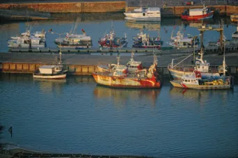 Photo Dominique VIET - port de saint gilles croix de vie
