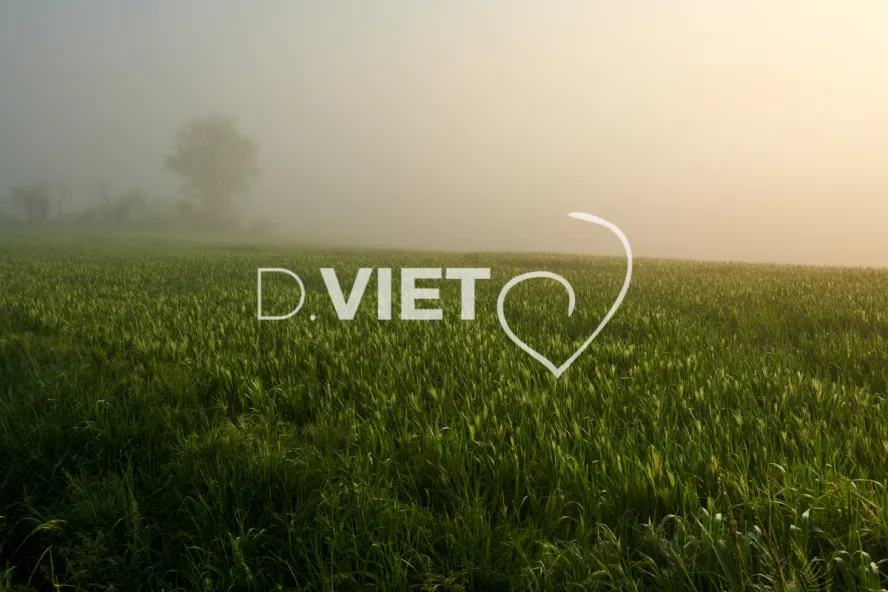 Photo Dominique VIET - Terres semées