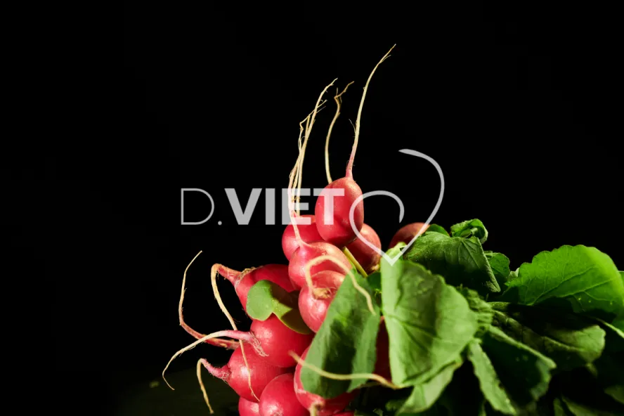 Photo Dominique VIET - Radis