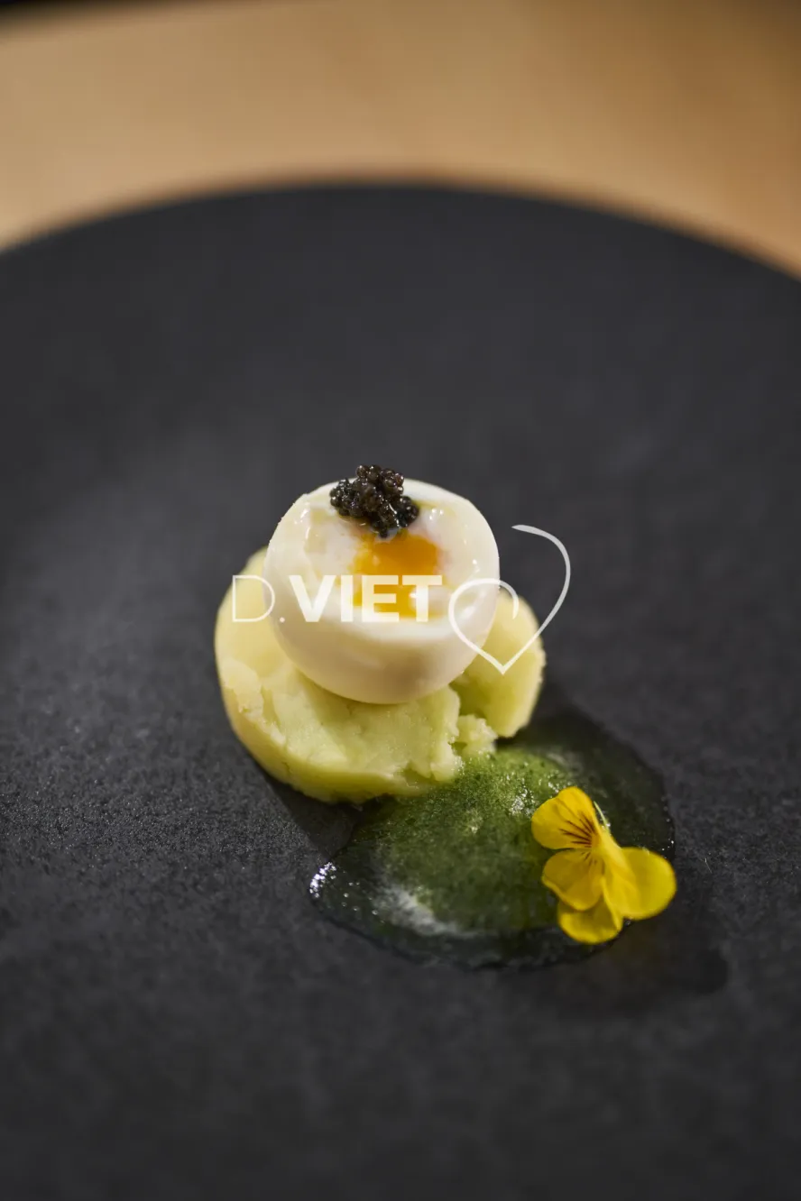 Photo Dominique VIET - Stephane Tournié