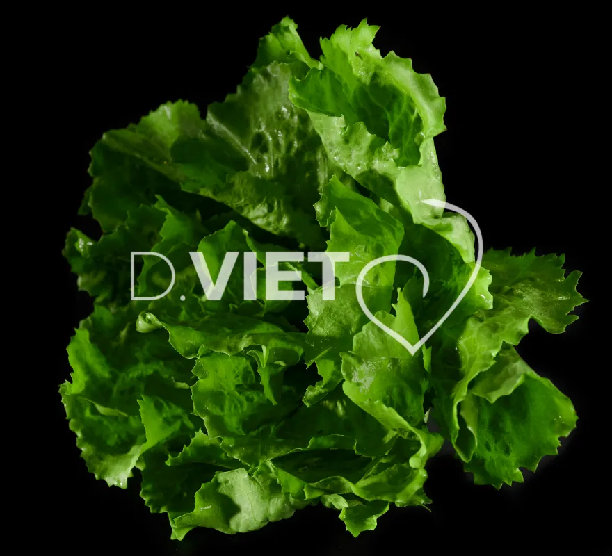 Photo Dominique VIET - Salades