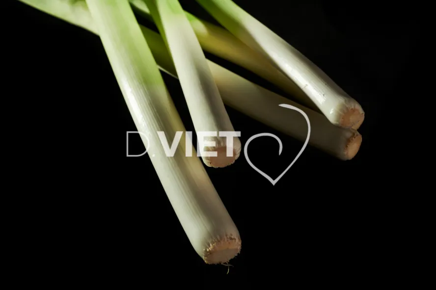 Photo Dominique VIET - poireaux