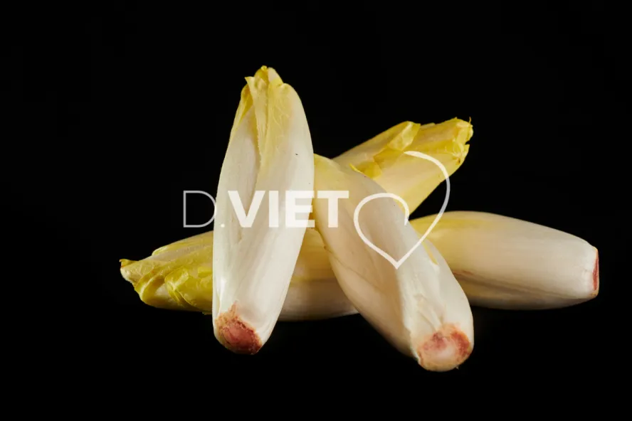 Photo Dominique VIET - Endives