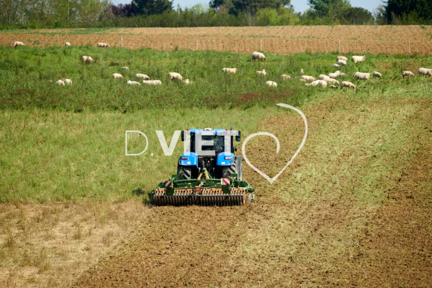 Photo Dominique VIET - Déchaumage préparation pour semis