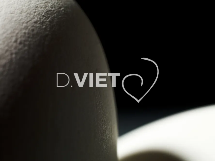 Photo Dominique VIET - Oeufs d'oies