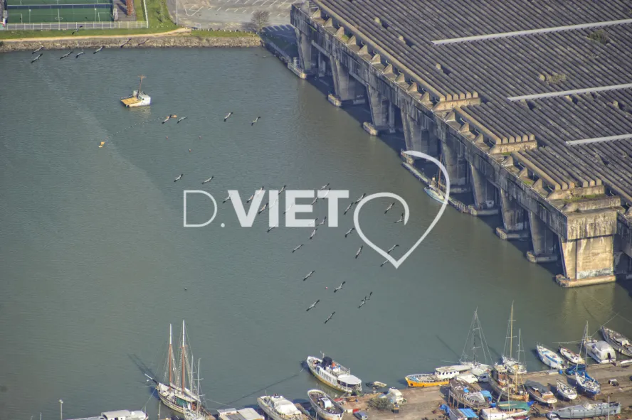 Photo Dominique VIET - VIET_006446