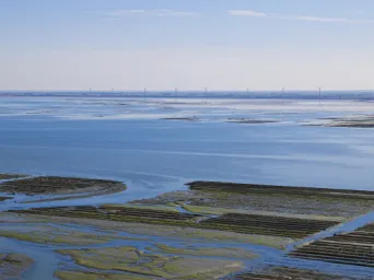 Photo Dominique VIET - passage du gois eolienne Polder du dain