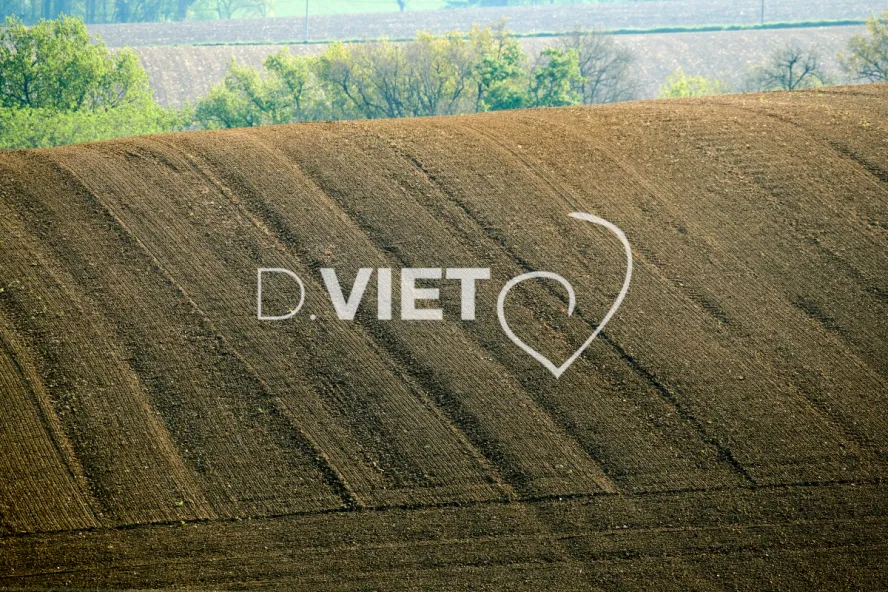 Photo Dominique VIET - Terres et Arbres