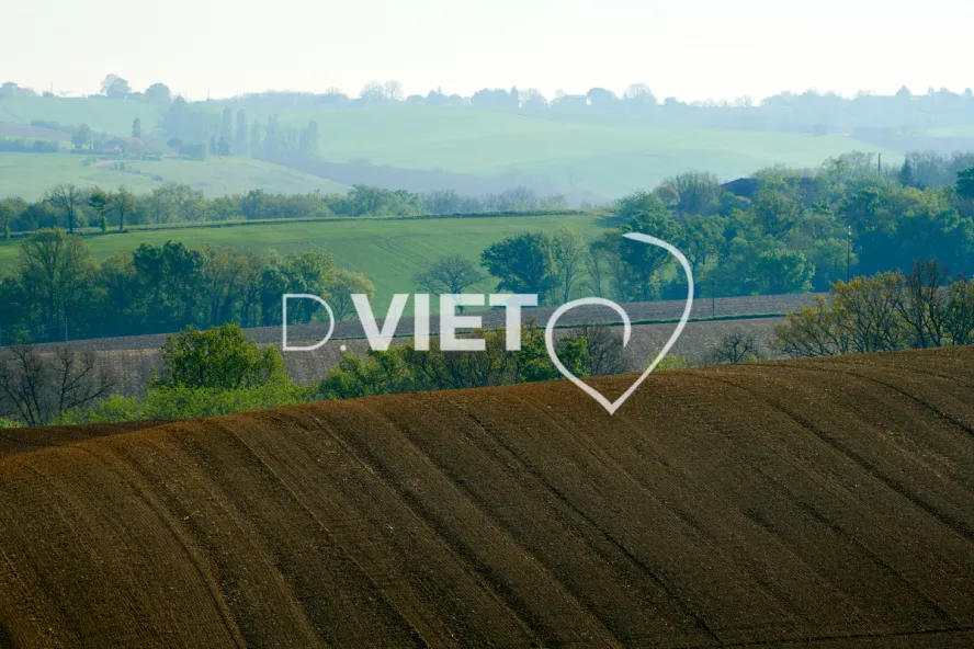 Photo Dominique VIET - Terres et Arbres