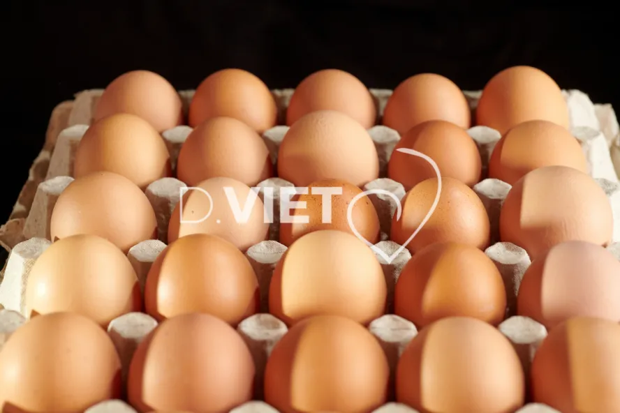 Photo Dominique VIET - Oeufs