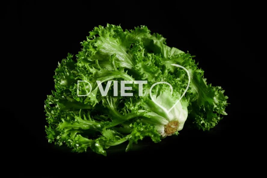 Photo Dominique VIET - Salades