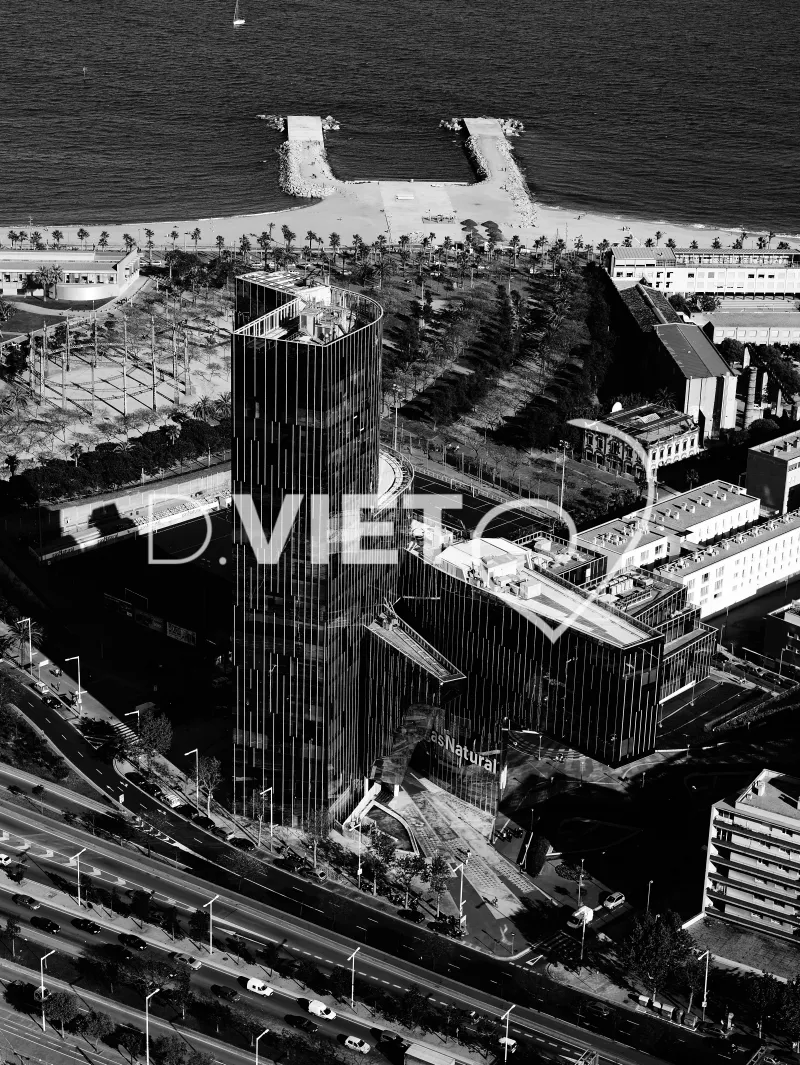 Photo Dominique VIET - Style: Portrait B&W - high key