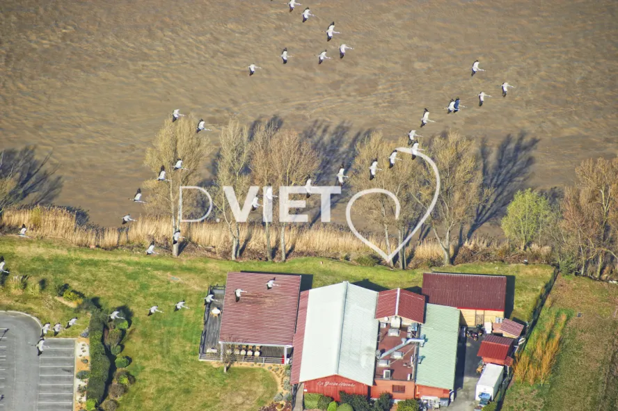 Photo Dominique VIET - VIET_006436