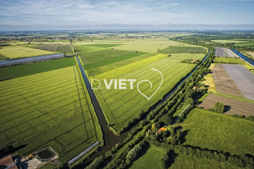 Photo Dominique VIET - Marais poitevin