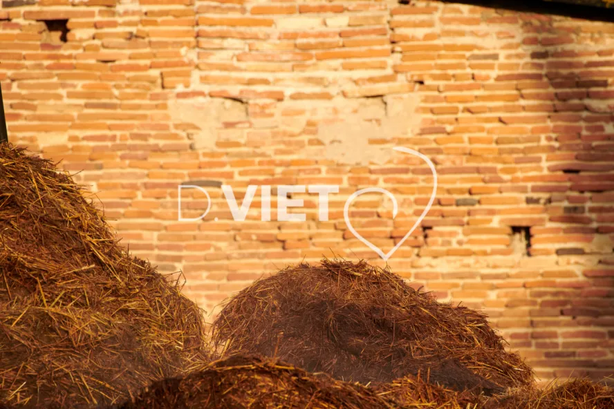 Photo Dominique VIET - Fumiers