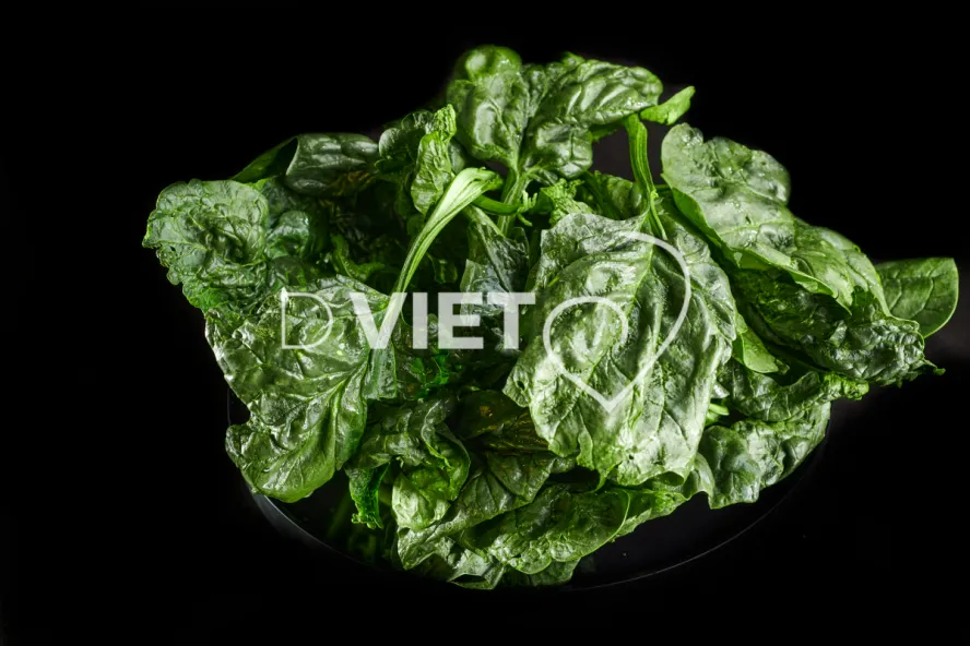 Photo Dominique VIET - Epinards