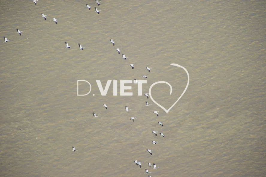 Photo Dominique VIET - VIET_006438