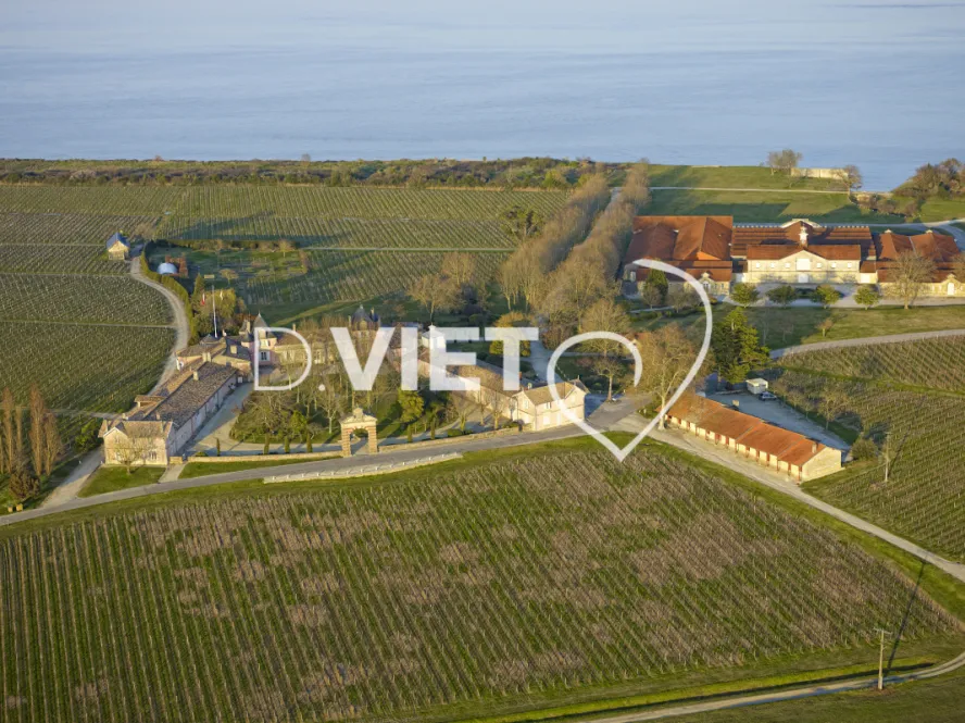 Photo Dominique VIET - Chateau Loudenne Medoc