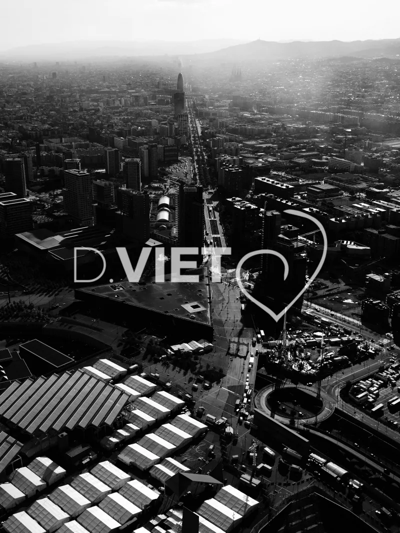 Photo Dominique VIET - Style: NB1