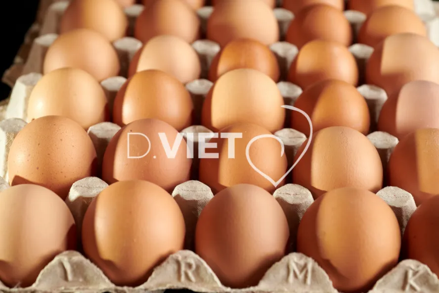 Photo Dominique VIET - Oeufs