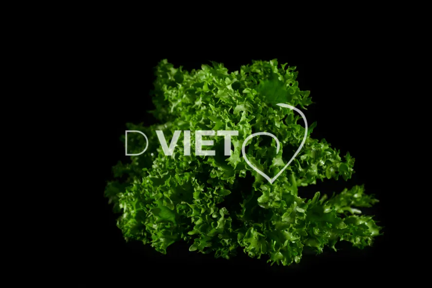 Photo Dominique VIET - Salades