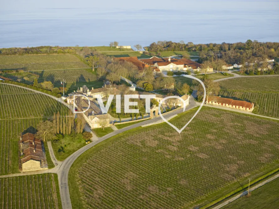 Photo Dominique VIET - Chateau Loudenne Medoc