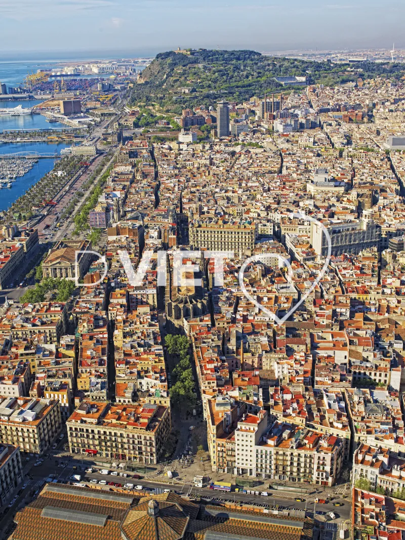 Photo Dominique VIET - Style: