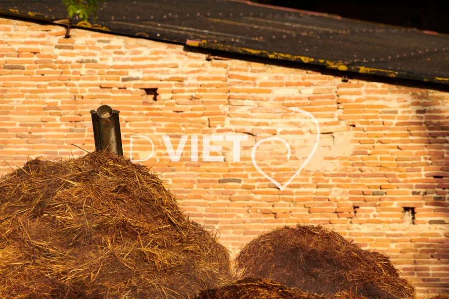 Photo Dominique VIET - Fumiers